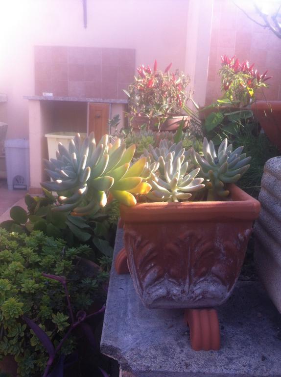 Bed&Breakfast Letterario Fiumicino Exteriör bild