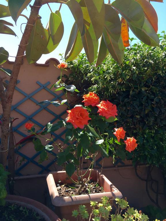 Bed&Breakfast Letterario Fiumicino Exteriör bild