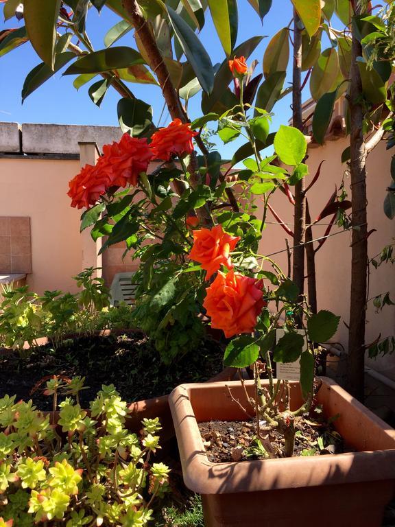 Bed&Breakfast Letterario Fiumicino Exteriör bild