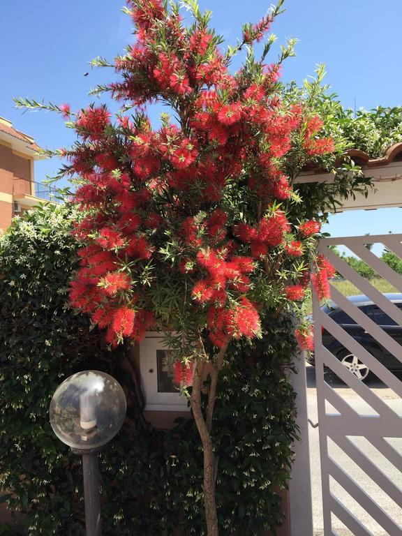 Bed&Breakfast Letterario Fiumicino Exteriör bild
